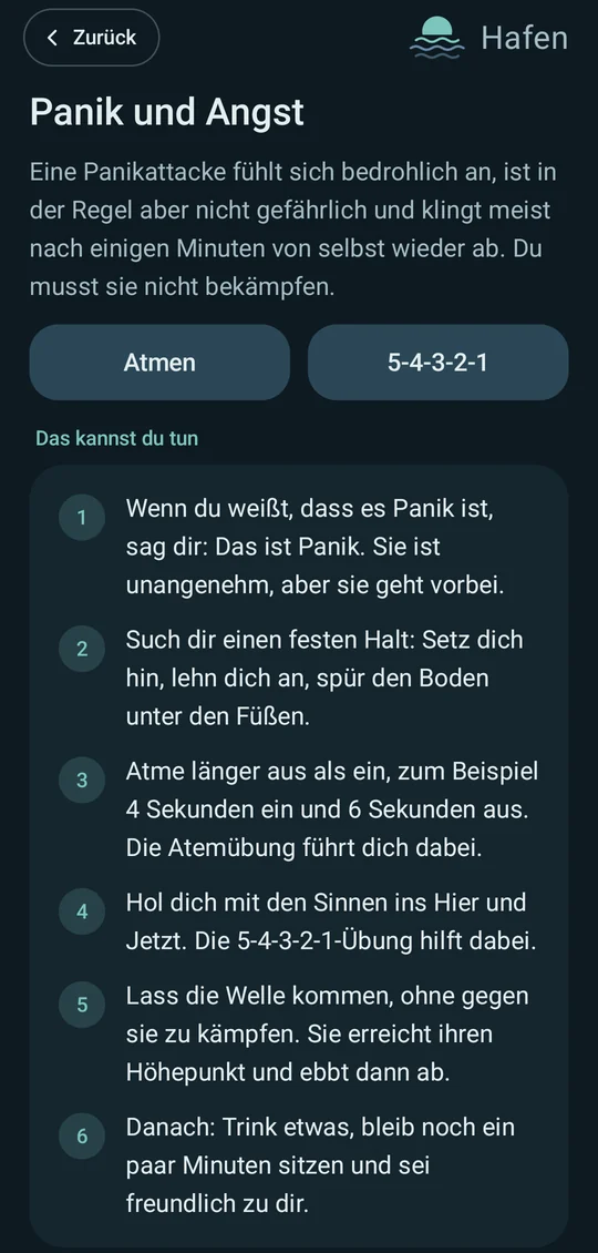 Thema Panik und Angst mit sechs kleinen Schritten